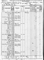 VAN HOOK Peter 1870 census KY Nicholas Cty